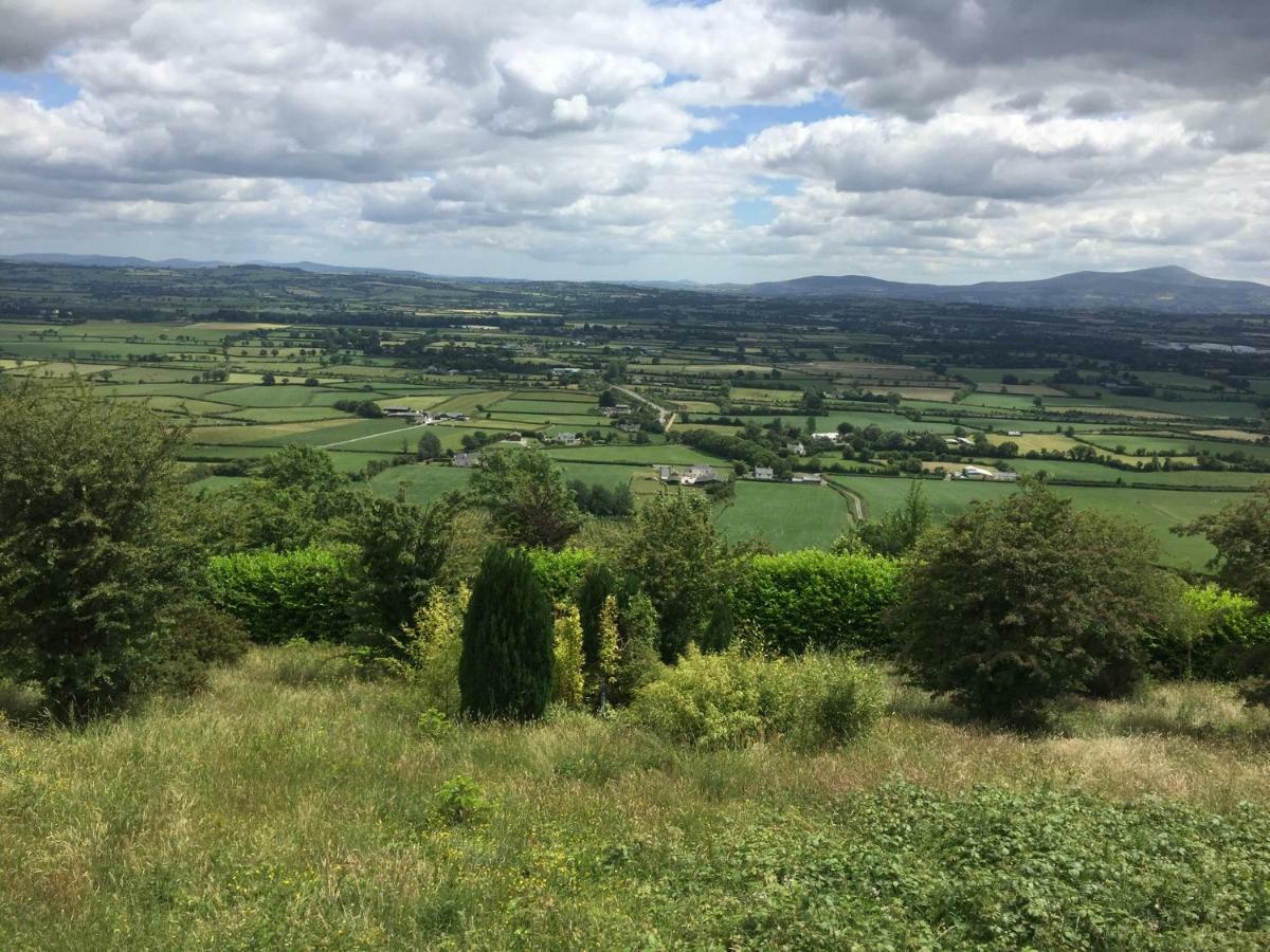 Carey'S Bar & Farmhouse Kilkenny Border Oldleighlin ภายนอก รูปภาพ