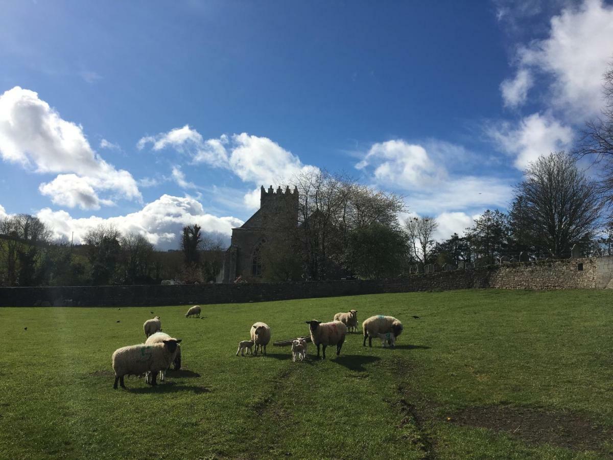 Carey'S Bar & Farmhouse Kilkenny Border Oldleighlin ภายนอก รูปภาพ