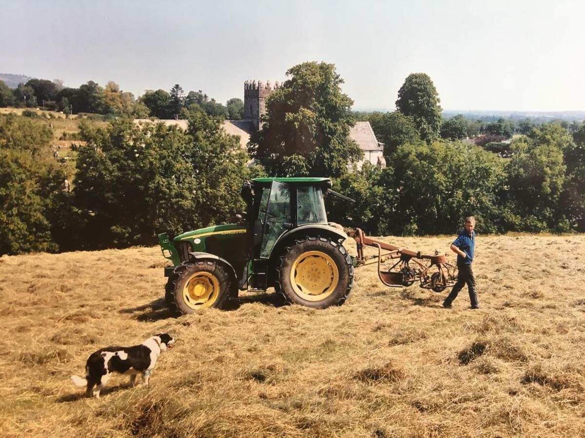 Carey'S Bar & Farmhouse Kilkenny Border Oldleighlin ภายนอก รูปภาพ