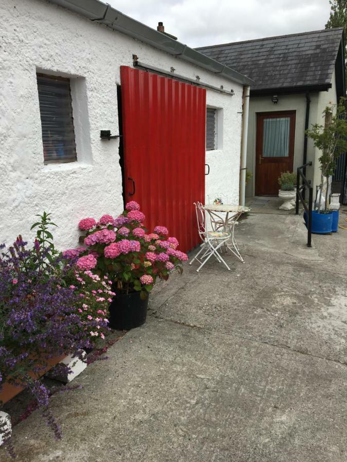 Carey'S Bar & Farmhouse Kilkenny Border Oldleighlin ภายนอก รูปภาพ
